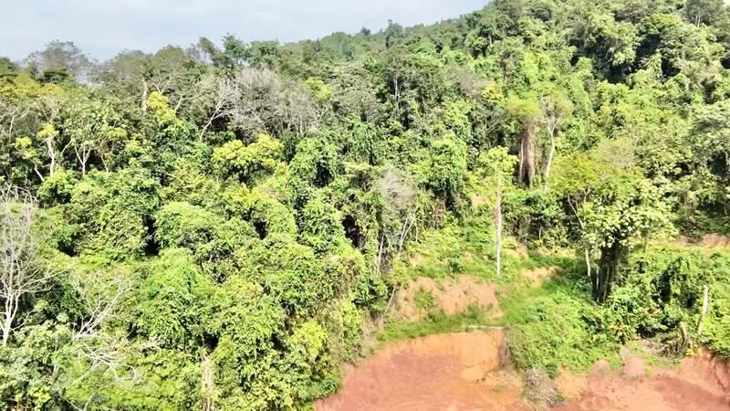 Agricultural Land for Sale in Dengkil (Selangor) - Siti Zuraini - Exterior - PropertyGuru.com.my