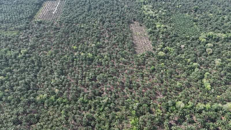 Penerok, Pontian untuk Untuk Dijual - RM 400,000, Mac 2026 - PropertyGuru.com.my