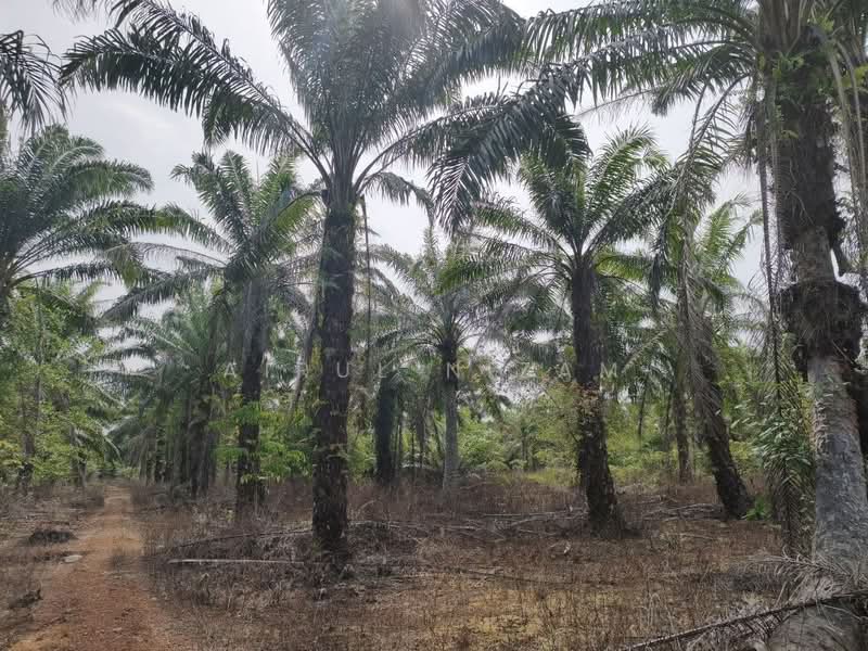 Penerok, Pontian untuk Untuk Dijual - RM 400,000, Mac 2026 - Exterior - PropertyGuru.com.my