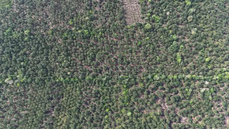 Penerok, Pontian untuk Untuk Dijual - RM 400,000, Mac 2026 - Exterior - PropertyGuru.com.my