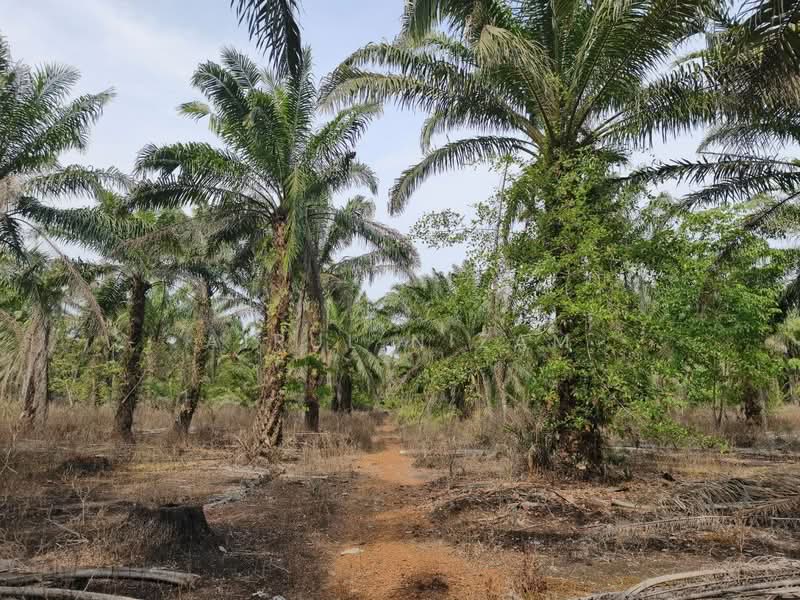 Penerok, Pontian untuk Untuk Dijual - RM 400,000, Mac 2026 - Exterior - PropertyGuru.com.my