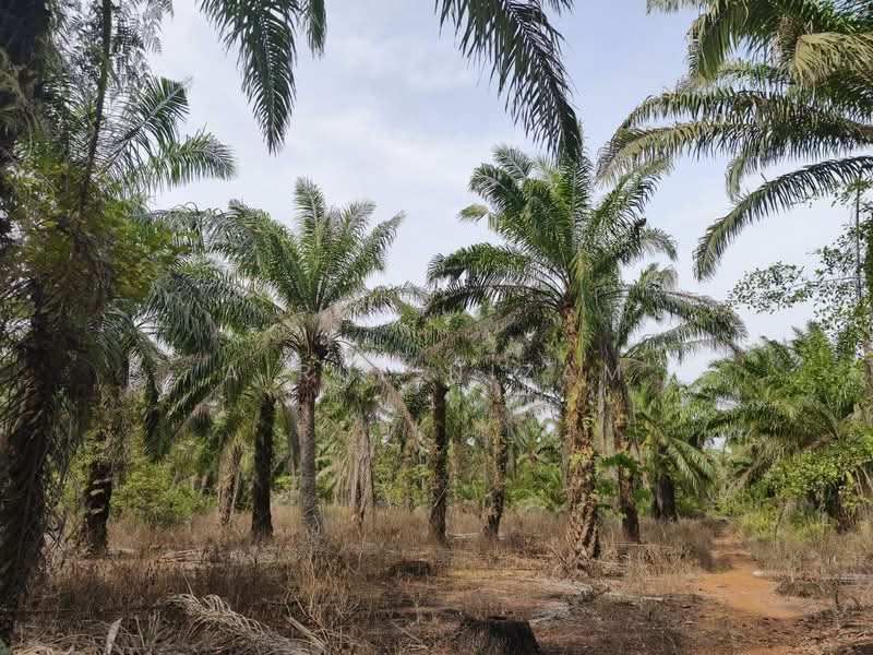 Penerok, Pontian untuk Untuk Dijual - RM 400,000, Mac 2026 - Exterior - PropertyGuru.com.my