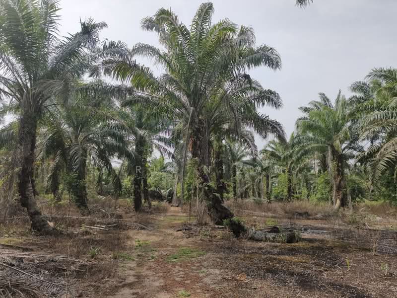 Penerok, Pontian untuk Untuk Dijual - RM 400,000, Mac 2026 - Exterior - PropertyGuru.com.my