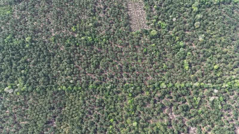 Penerok, Pontian untuk Untuk Dijual - RM 400,000, Mac 2026 - PropertyGuru.com.my