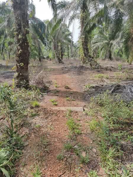 Penerok, Pontian untuk Untuk Dijual - RM 400,000, Mac 2026 - Exterior - PropertyGuru.com.my