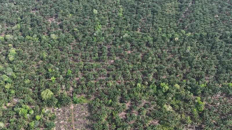 Penerok, Pontian untuk Untuk Dijual - RM 400,000, Mac 2026 - PropertyGuru.com.my