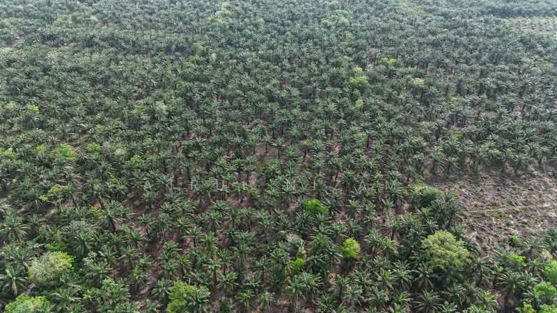 Penerok, Pontian untuk Untuk Dijual - RM 400,000, Mac 2026 - PropertyGuru.com.my