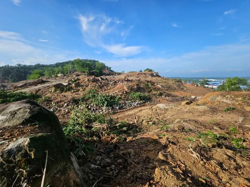 Tanah Perindustrian untuk Dijual di Bakri (Johor) - Eugene Yap - PropertyGuru.com.my