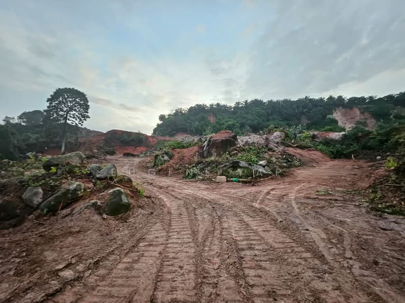 Tanah Perindustrian untuk Dijual di Bakri (Johor) - Eugene Yap - PropertyGuru.com.my