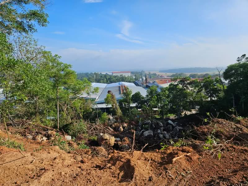 Tanah Perindustrian untuk Dijual di Bakri (Johor) - Eugene Yap - PropertyGuru.com.my