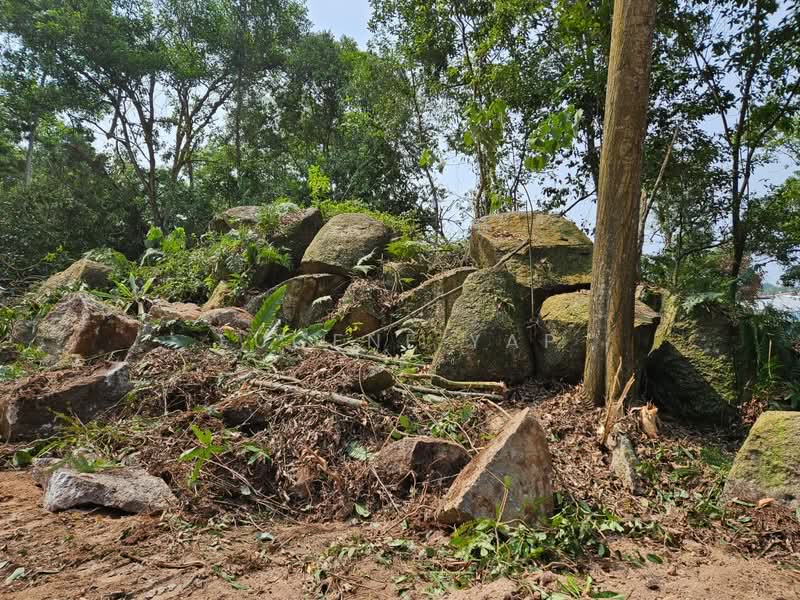 Tanah Perindustrian untuk Dijual di Bakri (Johor) - Eugene Yap - PropertyGuru.com.my