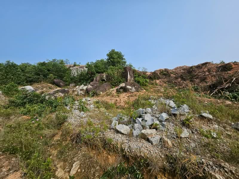 Tanah Perindustrian untuk Dijual di Bakri (Johor) - Eugene Yap - PropertyGuru.com.my