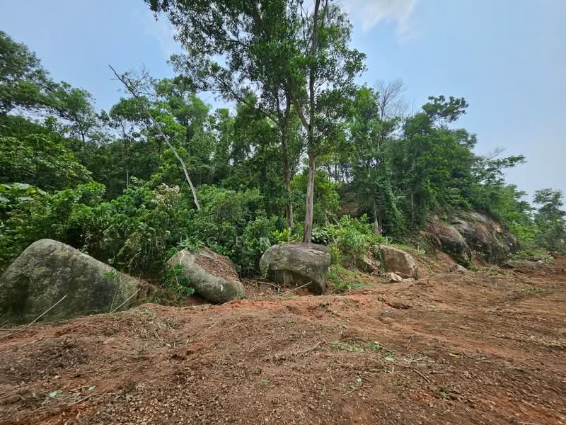 Tanah Perindustrian untuk Dijual di Bakri (Johor) - Eugene Yap - PropertyGuru.com.my