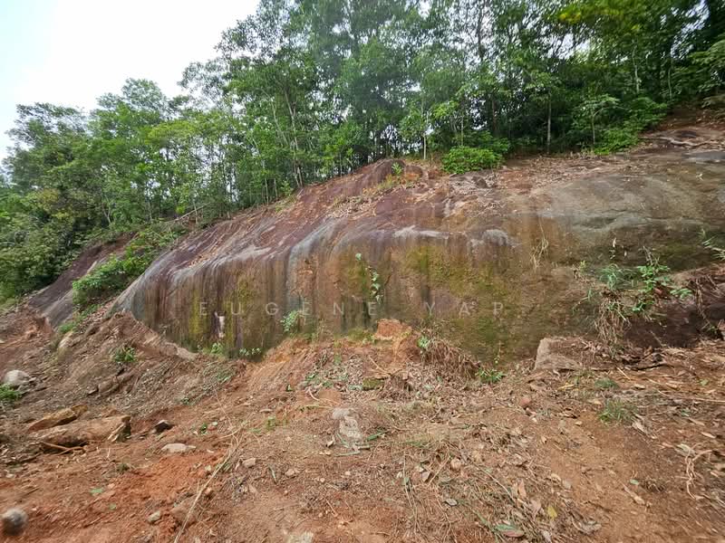 Tanah Perindustrian untuk Dijual di Bakri (Johor) - Eugene Yap - PropertyGuru.com.my