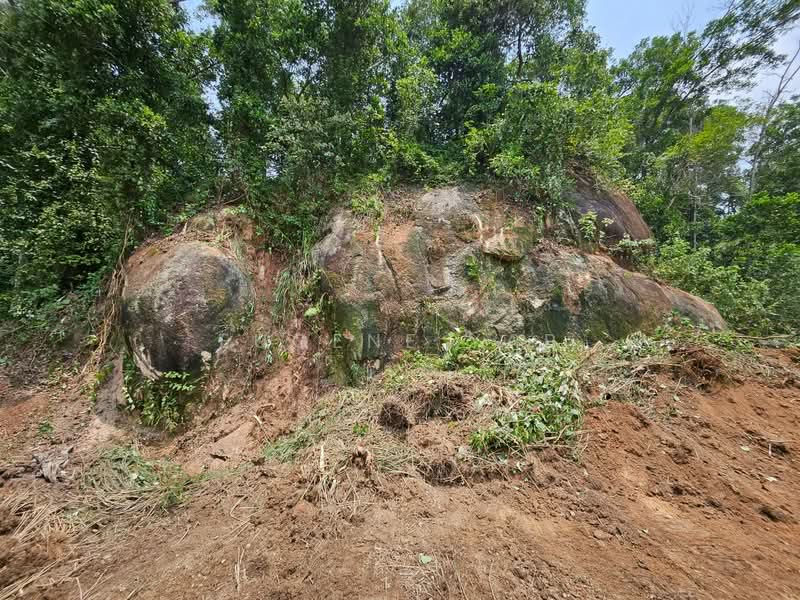 Tanah Perindustrian untuk Dijual di Bakri (Johor) - Eugene Yap - PropertyGuru.com.my