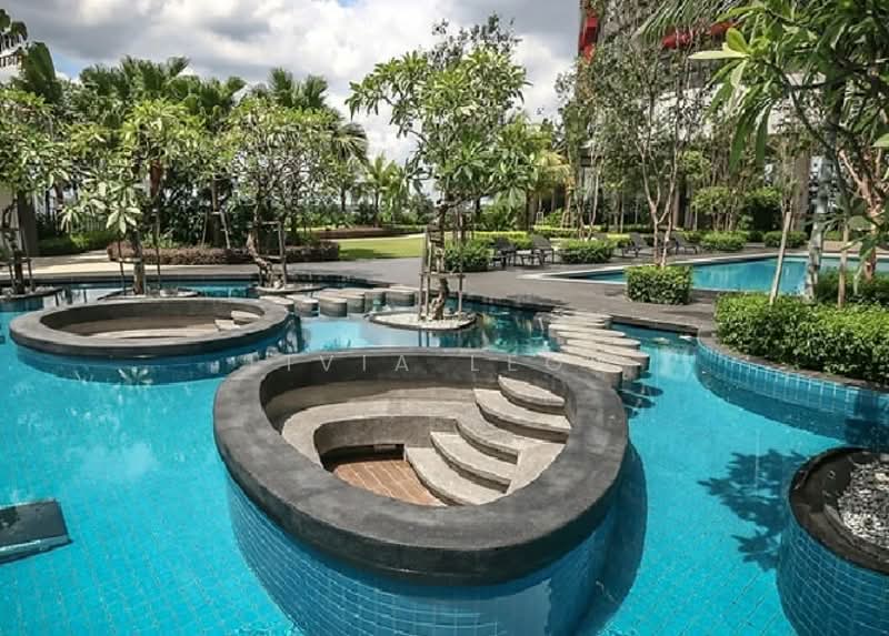 Service Residence for Sale at Paisley @ Tropicana Metropark - Livia Leow - Pool - PropertyGuru.com.my