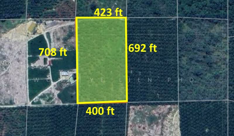Rubber & Durian Farm, 6.5 acres, Jln Kg. Chemomoi, 28310 Triang, Pahang untuk Untuk Dijual - RM 591,770, Apr 2026 - PropertyGuru.com.my