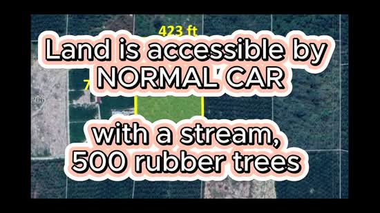 Rubber & Durian Farm, 6.5 acres, Jln Kg. Chemomoi, 28310 Triang, Pahang untuk Untuk Dijual - RM 591,770, Apr 2026 - PropertyGuru.com.my
