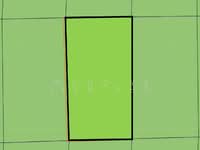 For Sale - Rubber & Durian Farm, 6.5 acres, Jln Kg. Chemomoi, 28310 Triang, Pahang