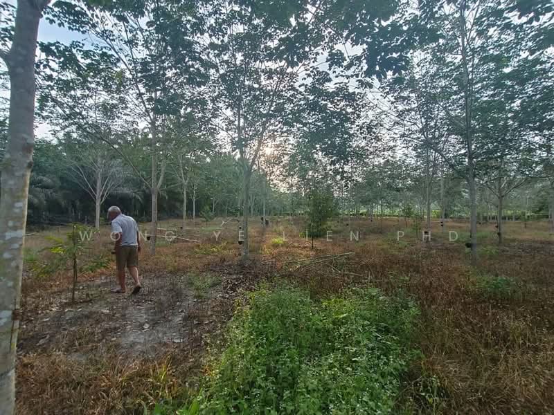 Rubber & Durian Farm, 6.5 acres, Jln Kg. Chemomoi, 28310 Triang, Pahang untuk Untuk Dijual - RM 591,770, Apr 2026 - Exterior - PropertyGuru.com.my