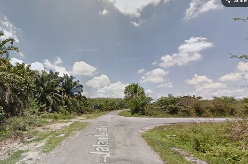 Rubber & Durian Farm, 6.5 acres, Jln Kg. Chemomoi, 28310 Triang, Pahang untuk Untuk Dijual - RM 591,770, Apr 2026 - PropertyGuru.com.my