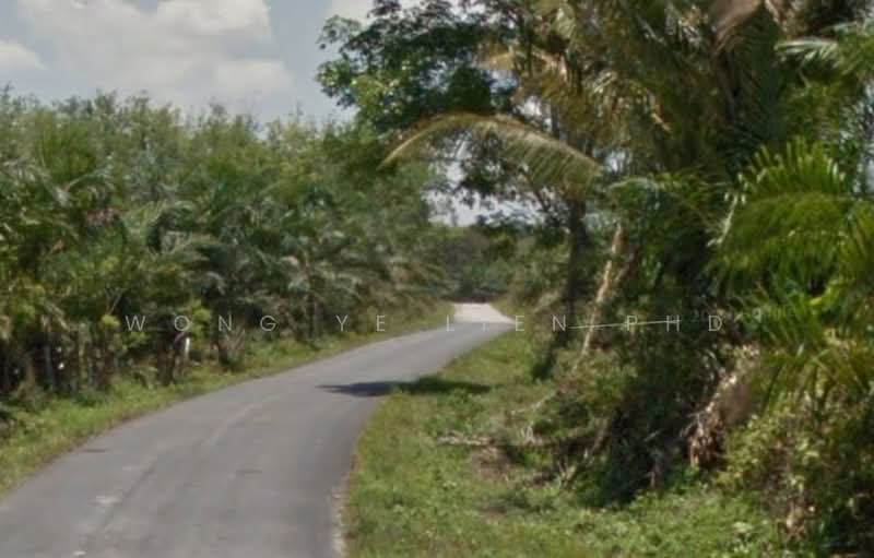 Rubber & Durian Farm, 6.5 acres, Jln Kg. Chemomoi, 28310 Triang, Pahang untuk Untuk Dijual - RM 591,770, Apr 2026 - Exterior - PropertyGuru.com.my