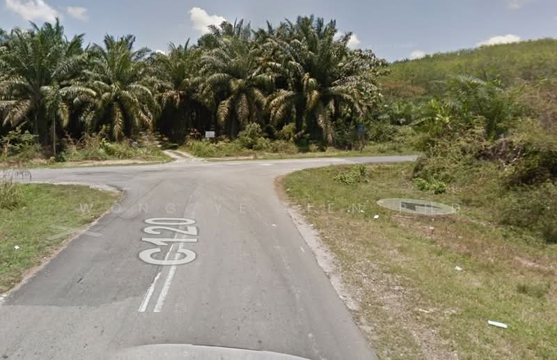 Rubber & Durian Farm, 6.5 acres, Jln Kg. Chemomoi, 28310 Triang, Pahang untuk Untuk Dijual - RM 591,770, Apr 2026 - Exterior - PropertyGuru.com.my