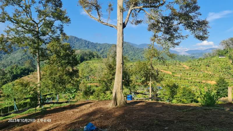 Agricultural Land for Sale in Raub (Pahang) - BK Sia - Exterior - PropertyGuru.com.my