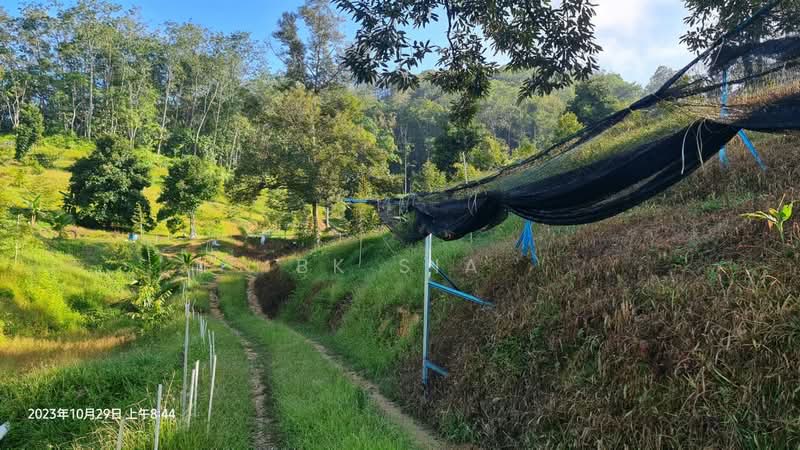 Agricultural Land for Sale in Raub (Pahang) - BK Sia - Exterior - PropertyGuru.com.my