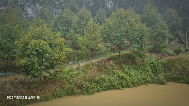 Agricultural Land for Sale in Raub (Pahang) - BK Sia - Exterior - PropertyGuru.com.my