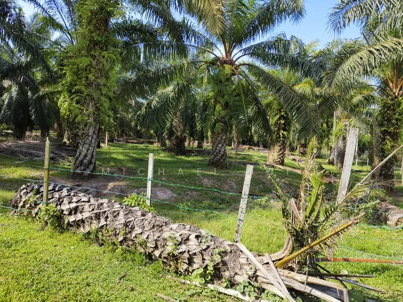 Agricultural Land for Sale in Tanjung Sepat (Tanjong Sepat) - Michael Ooi - Exterior - PropertyGuru.com.my