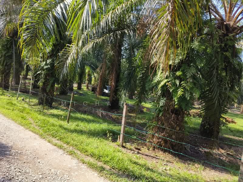 Agricultural Land for Sale in Tanjung Sepat (Tanjong Sepat) - Michael Ooi - Exterior - PropertyGuru.com.my