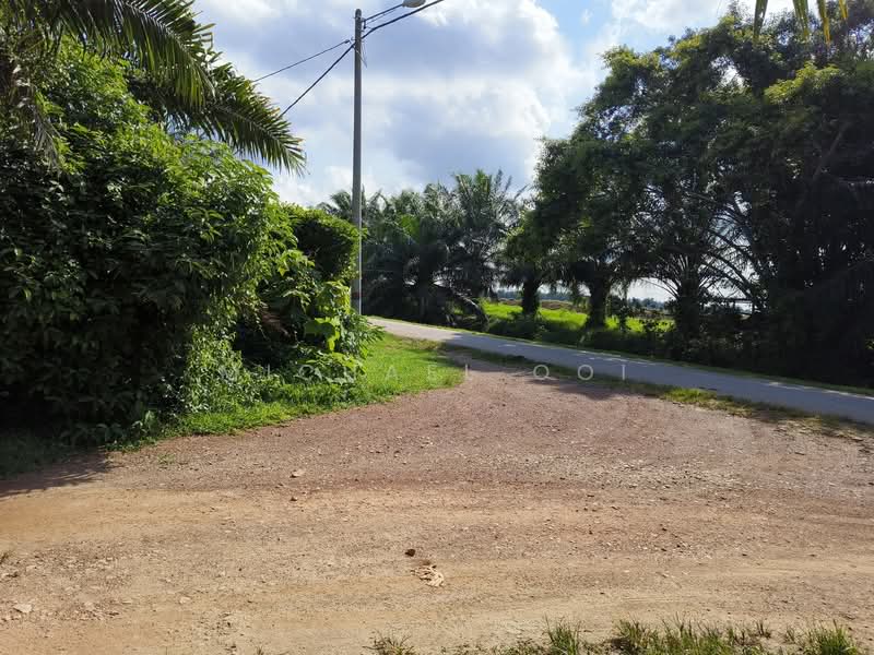 Agricultural Land for Sale in Tanjung Sepat (Tanjong Sepat) - Michael Ooi - Exterior - PropertyGuru.com.my