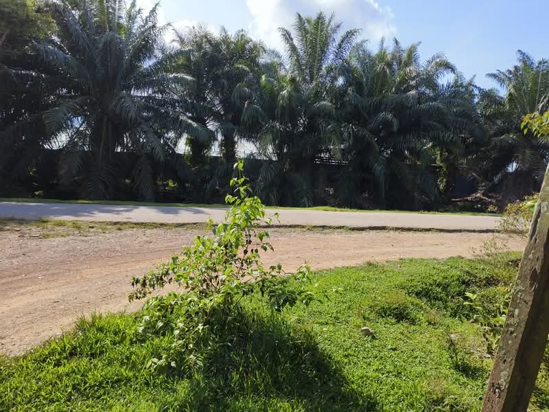 Agricultural Land for Sale in Tanjung Sepat (Tanjong Sepat) - Michael Ooi - Exterior - PropertyGuru.com.my