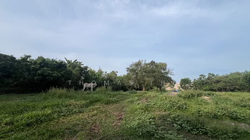 Agricultural Land for Sale in Kampung Bukit Kapar (Kapar) - Thomas Thi - Garden - PropertyGuru.com.my