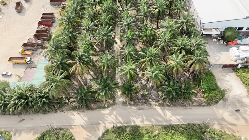 Industrial Land for Rent in Ijok (Selangor) - Ang Yi Quan - Exterior - PropertyGuru.com.my