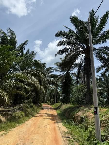 Agricultural Land for Sale in Ayer Hitam (Johor) - Victor Lim - PropertyGuru.com.my