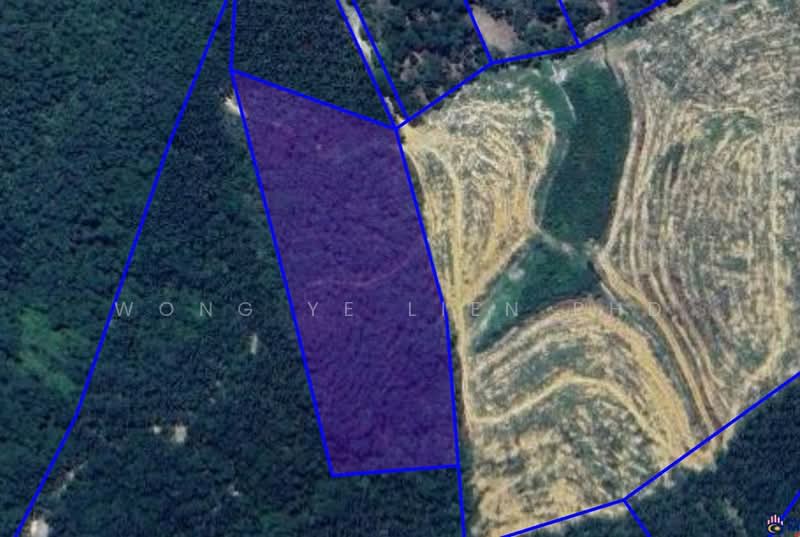 Untuk Dijual Rubber Trees Farm, 6.13 acres, Jln Kg. Manchis 4, Manchis, 28730 Bentong, Pahang