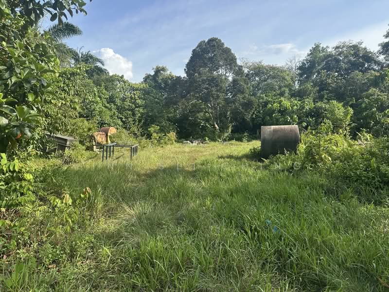 Agricultural Land for Rent in Kampung Machap Umboo (Malaka Pindah) - Linn Sei Ching - Exterior - PropertyGuru.com.my