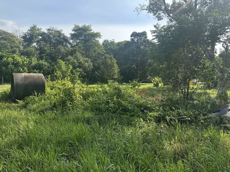 Agricultural Land for Rent in Kampung Machap Umboo (Malaka Pindah) - Linn Sei Ching - Exterior - PropertyGuru.com.my