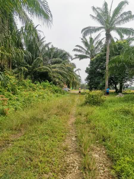 Agricultural Land for Sale in Simpang Ampat (Penang) - Yee Choi Hong - Exterior - PropertyGuru.com.my