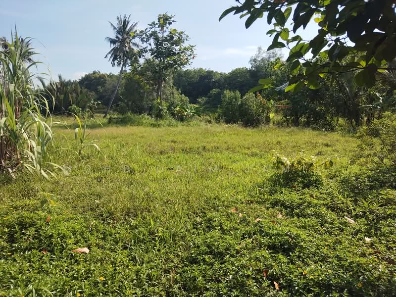 Jackpot!!! + 2 Bungalow, Bawah Pasaran untuk Untuk Dijual - RM 2,500,000, Mac 2026 - Garden - PropertyGuru.com.my