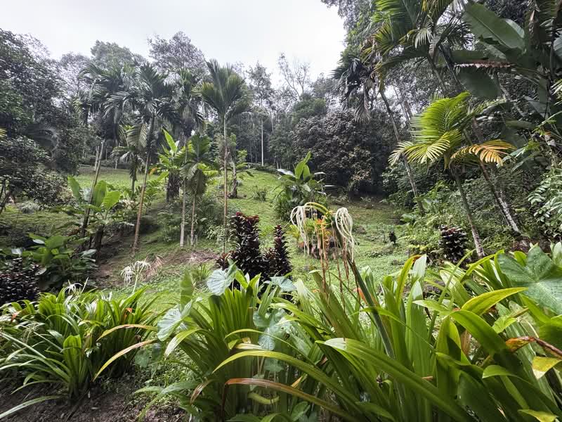 Bungalow for Sale in Hulu Langat (Selangor) - Mezzie . - Garden - PropertyGuru.com.my