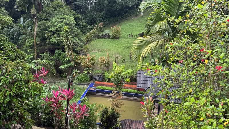 Bungalow for Sale in Hulu Langat (Selangor) - Mezzie . - Garden - PropertyGuru.com.my