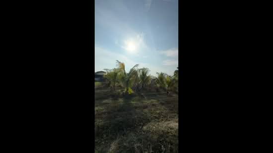 Agricultural Land for Sale in Gopeng (Perak) - Marcus Seng - PropertyGuru.com.my