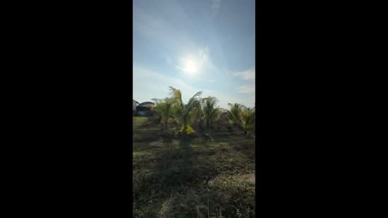 Agricultural Land for Sale in Kota Bahru (Gopeng) - Gary Tang - PropertyGuru.com.my