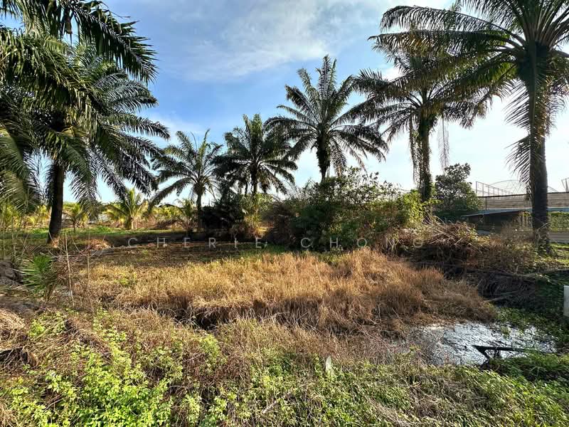 Agricultural Land for Sale in Gopeng (Perak) - Cherie Chong - Exterior - PropertyGuru.com.my