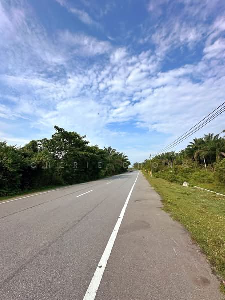 Agricultural Land for Sale in Gopeng (Perak) - Cherie Chong - PropertyGuru.com.my