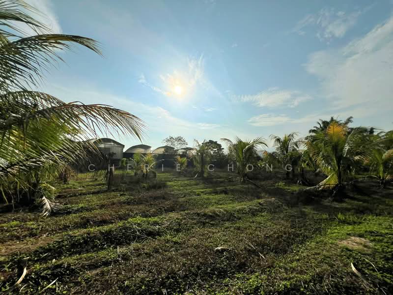 Agricultural Land for Sale in Gopeng (Perak) - Cherie Chong - Exterior - PropertyGuru.com.my