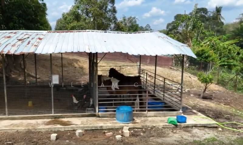 Twin Villa for Rent in Durian Tunggal (Melaka) - William Chong - Exterior - PropertyGuru.com.my